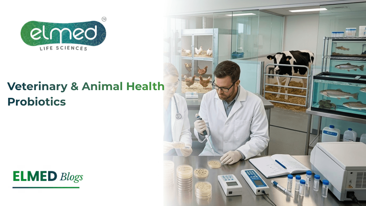 Veterinary & Animal Health Probiotics