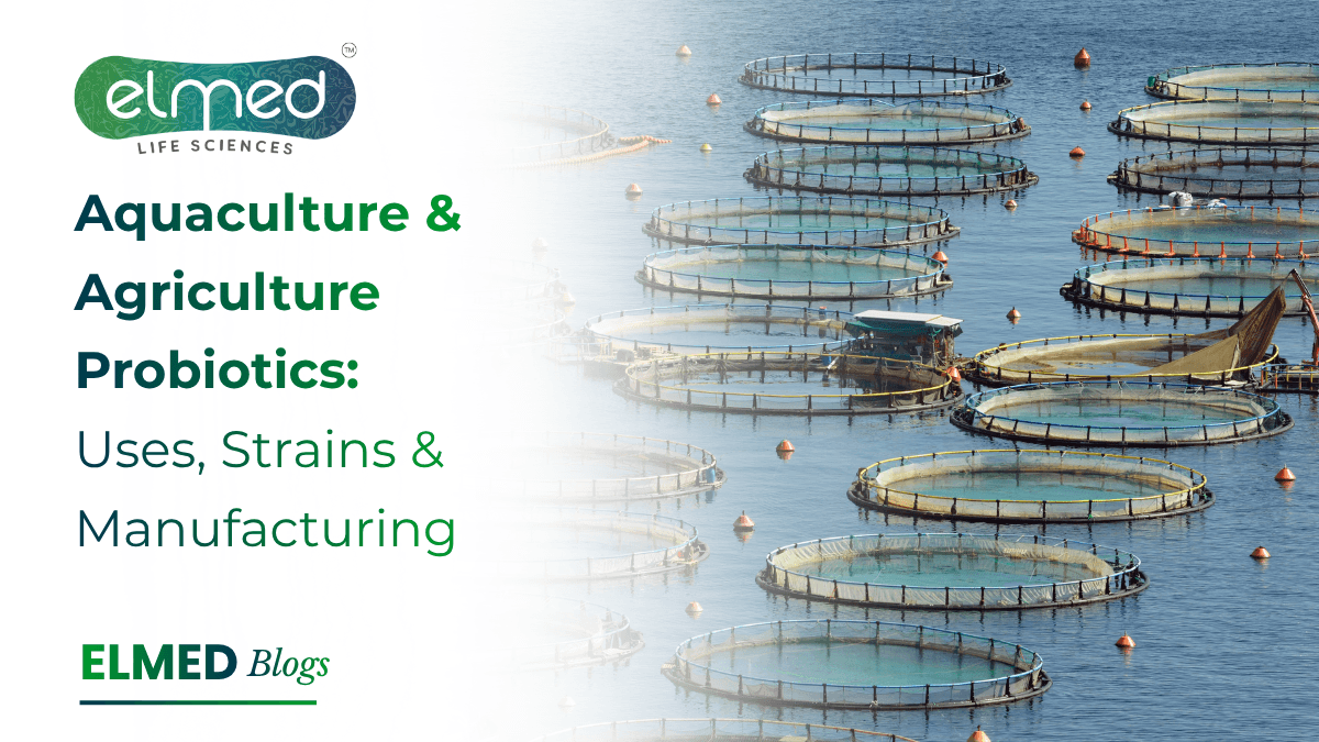 Aquaculture & Agriculture Probiotics: Uses, Strains & Manufacturing