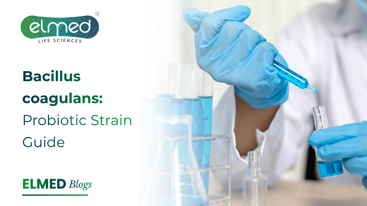 Bacillus coagulans: Probiotic Strain Guide