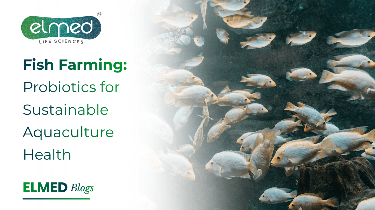 Fish Farming: Probiotics for Sustainable Aquaculture Health