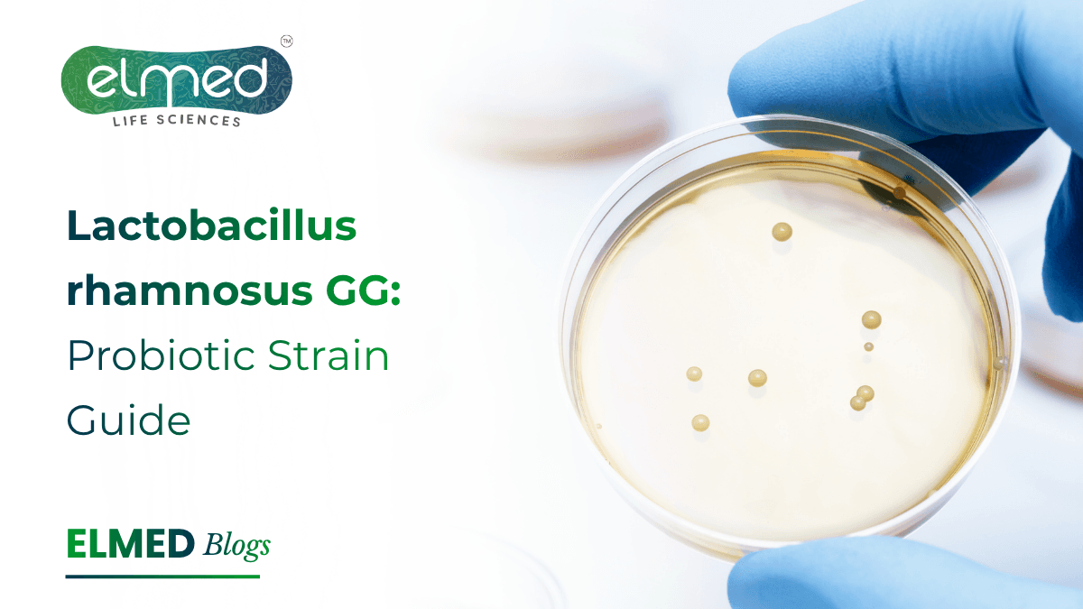 Lactobacillus rhamnosus GG: Probiotic Strain Guide