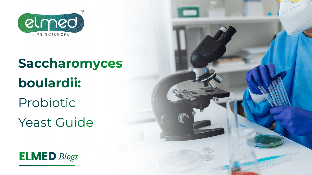 Saccharomyces boulardii: Probiotic Yeast Guide