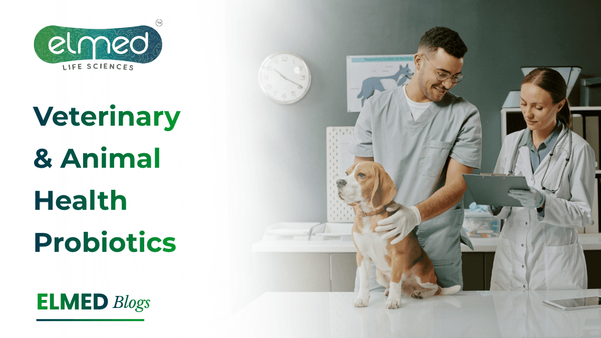 Veterinary & Animal Health Probiotics