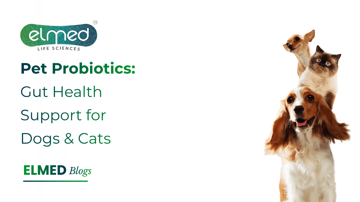 Pet Probiotics: Gut Health Support for Dogs & Cats