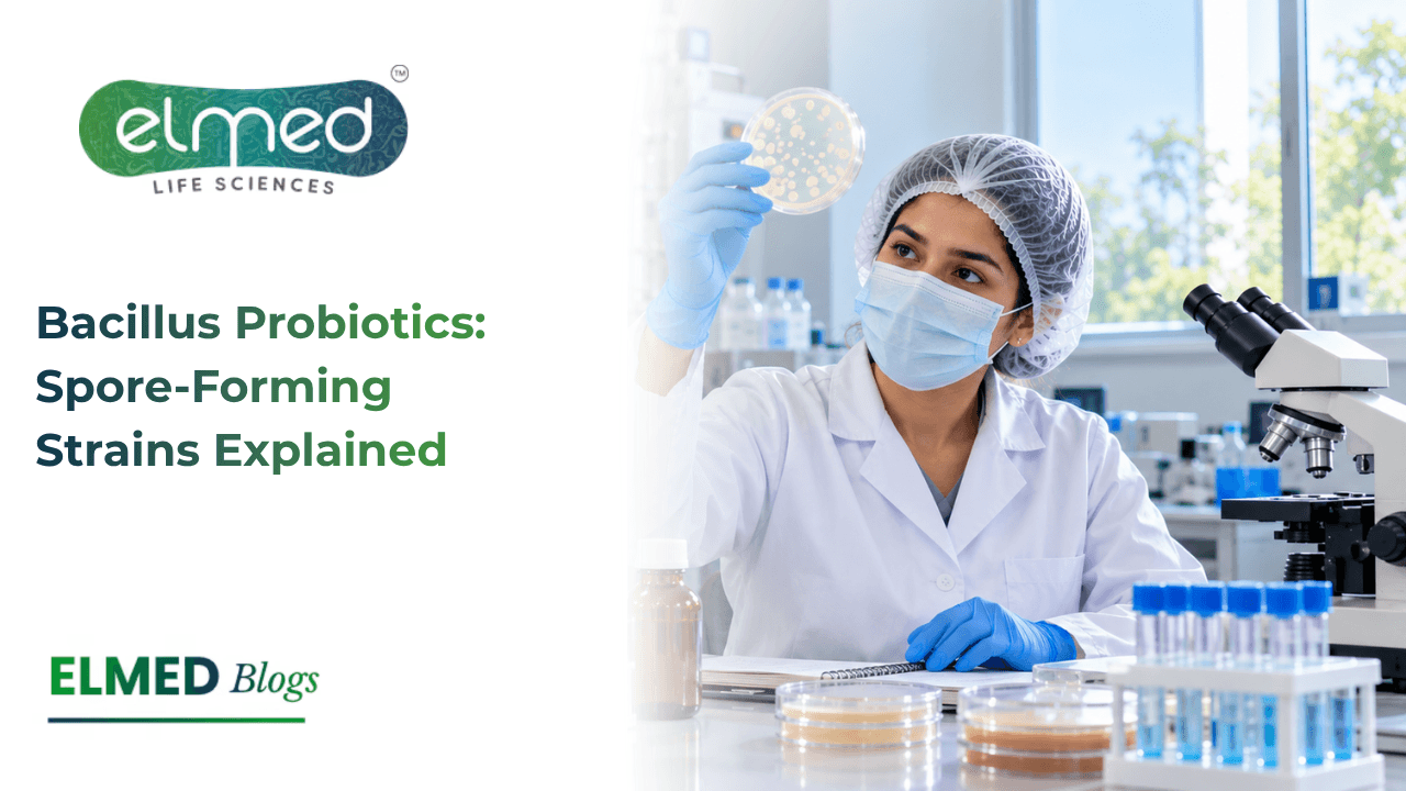 Bacillus-Based Probiotics: Spore-Forming Strains Explained