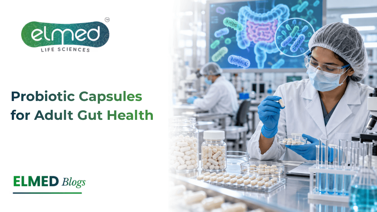 Probiotic Capsules for Adult Gut Health: Manufacturing & Applications