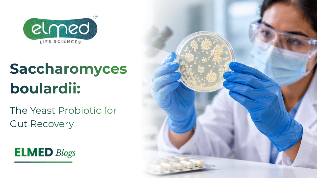 Saccharomyces boulardii: Yeast Probiotic for Gut Recovery